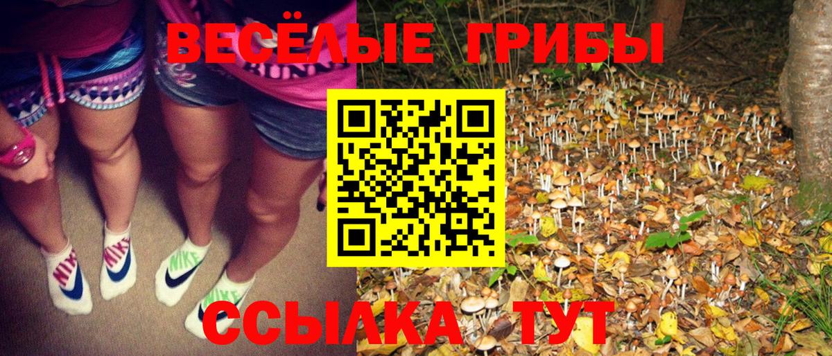 Томск  Галлюциногенные грибы Magic Shrooms  Вход с VPN 